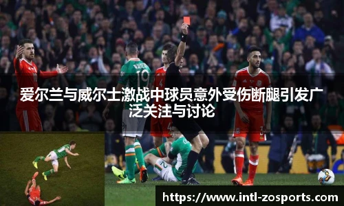 爱尔兰与威尔士激战中球员意外受伤断腿引发广泛关注与讨论